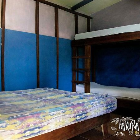 Hakuna Matata Hostel Cahuita Ngoại thất bức ảnh