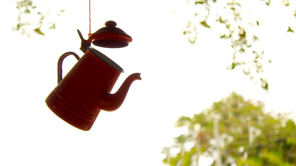 Hakuna Matata Hostel Cahuita Ngoại thất bức ảnh