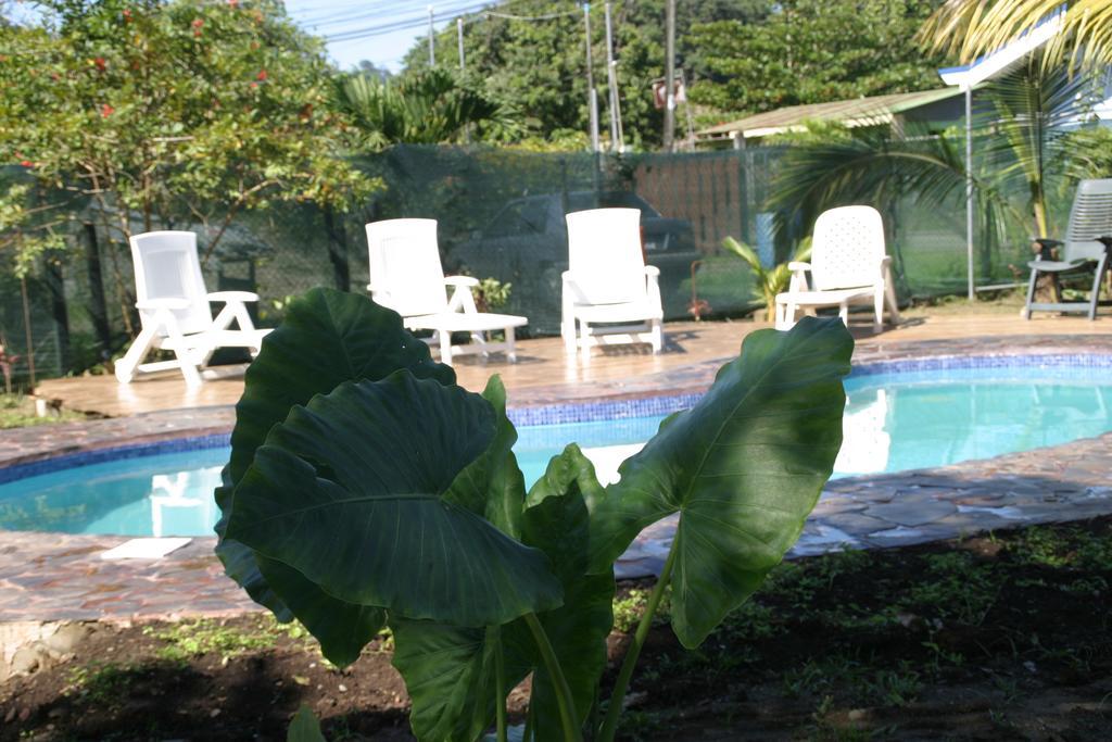 Hakuna Matata Hostel Cahuita Ngoại thất bức ảnh