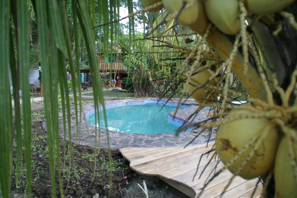 Hakuna Matata Hostel Cahuita Ngoại thất bức ảnh