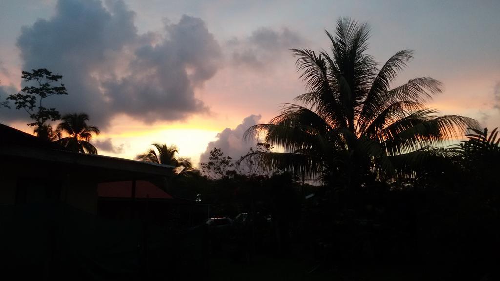Hakuna Matata Hostel Cahuita Ngoại thất bức ảnh