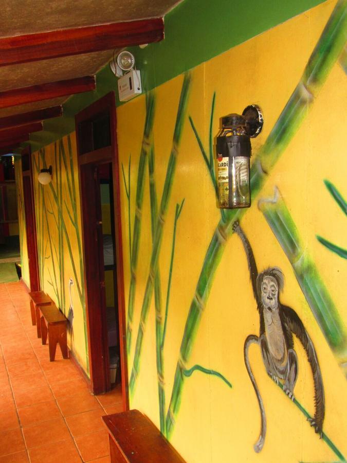 Hakuna Matata Hostel Cahuita Ngoại thất bức ảnh
