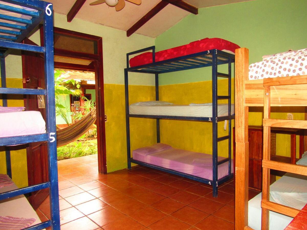 Hakuna Matata Hostel Cahuita Ngoại thất bức ảnh