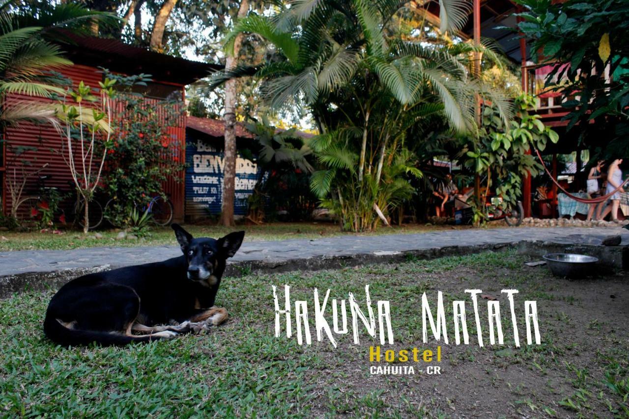 Hakuna Matata Hostel Cahuita Ngoại thất bức ảnh