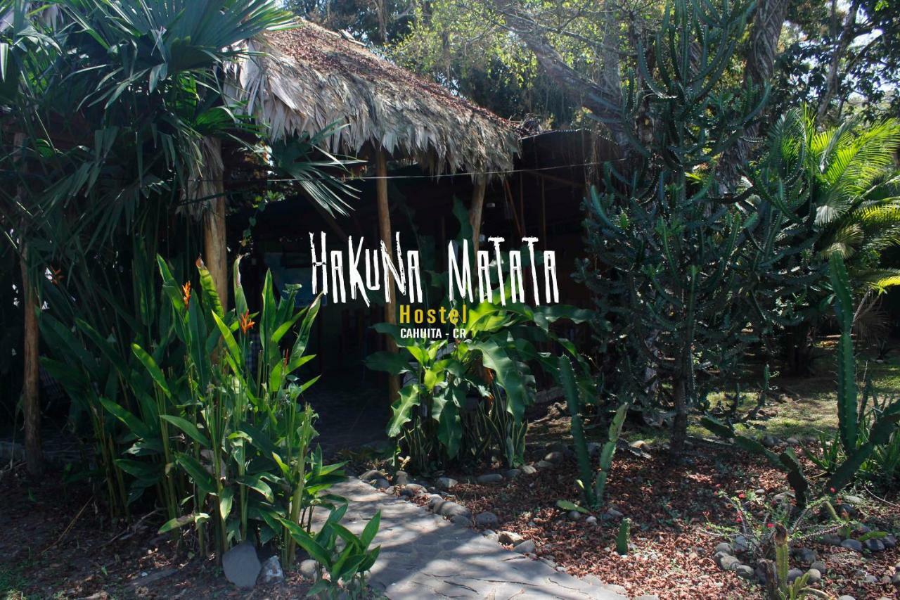 Hakuna Matata Hostel Cahuita Ngoại thất bức ảnh