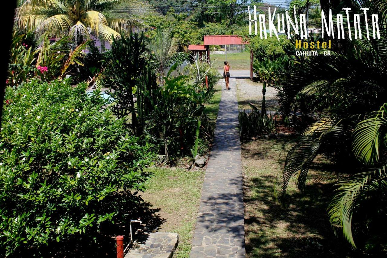 Hakuna Matata Hostel Cahuita Ngoại thất bức ảnh